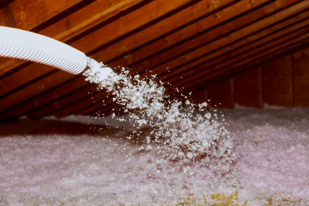 Best Energy Efficiency Solutions in Red Hill, SC