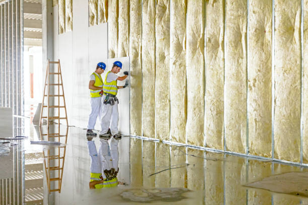 Best Residential Insulation in Red Hill, SC